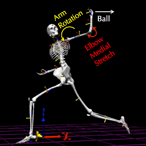Baseball Pitching